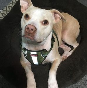 Meet your Posher, Melinda